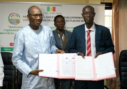 WhatsApp Image 2026-03-17 at 16.15.03 (6)