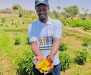 Mission de suivi des GMP dans le cadre du PRDC