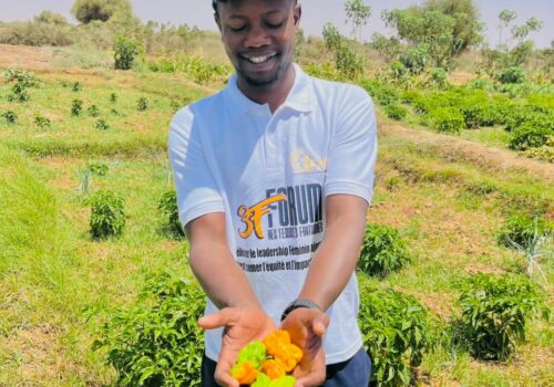 WhatsApp Image 2026-04-03 at 16.20.35 (1)